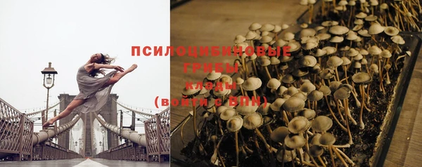 ешки Арсеньев